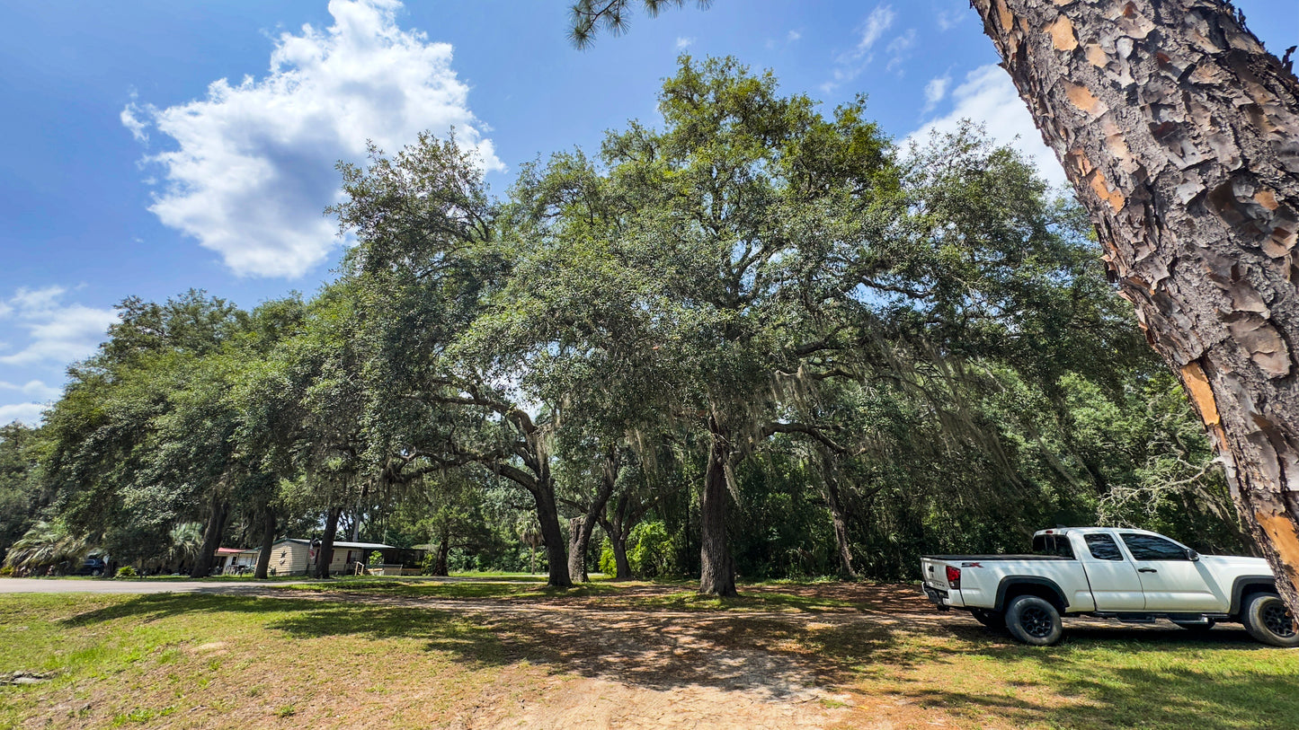 0.37 Acres Land For Sale In Putnam FL