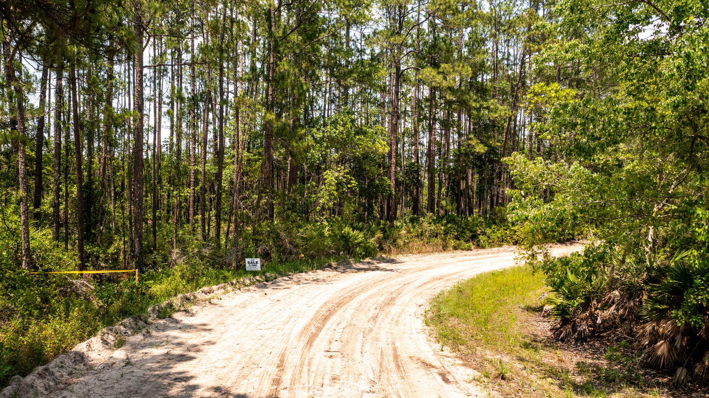 0.37 Acres Land For Sale In Putnam FL