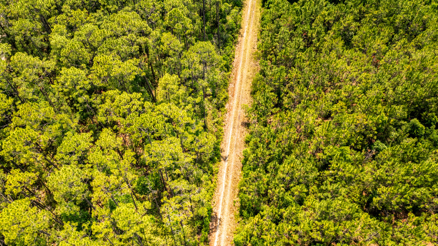 0.37 Acres Land For Sale In Putnam FL