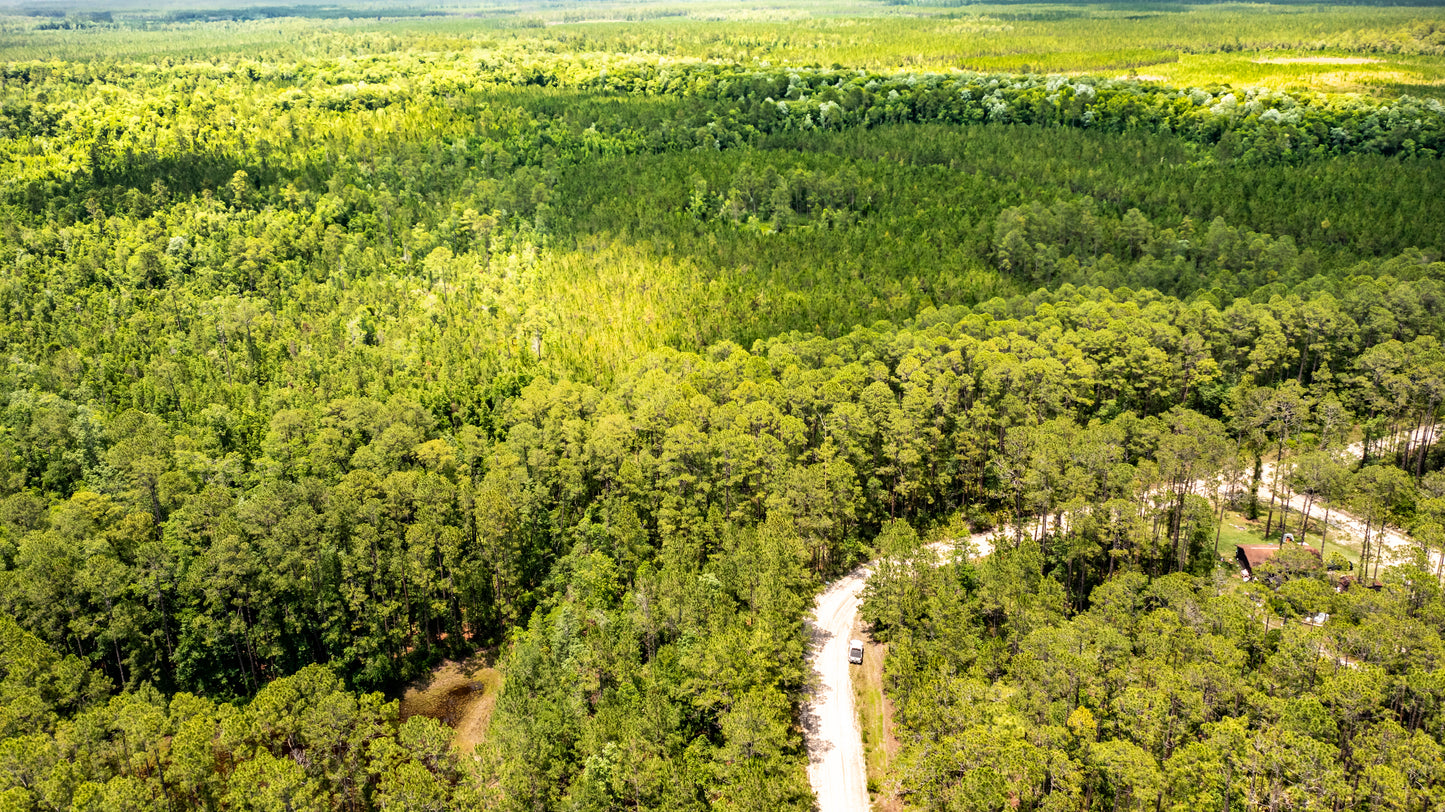 0.37 Acres Land For Sale In Putnam FL