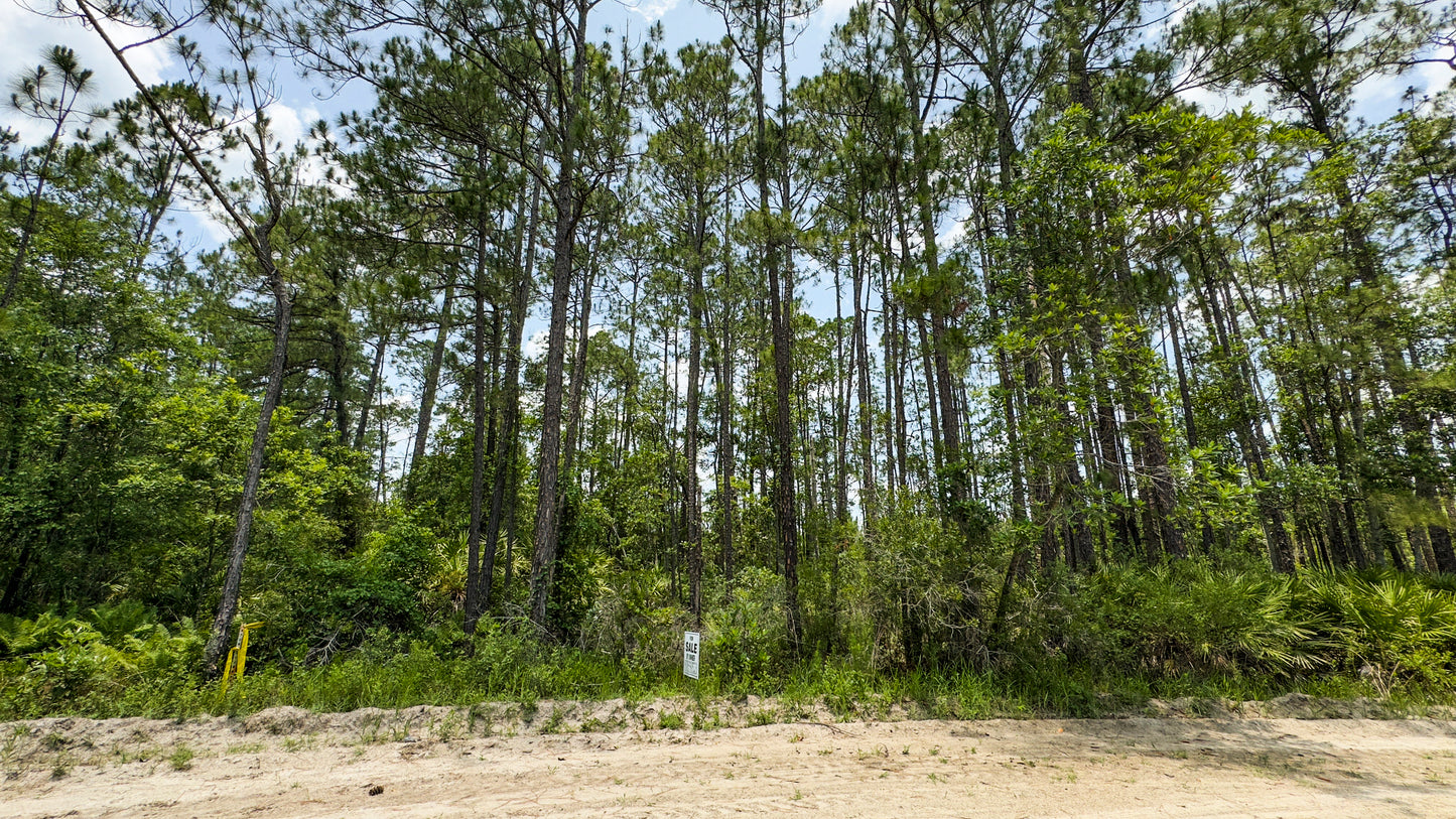 0.37 Acres Land For Sale In Putnam FL