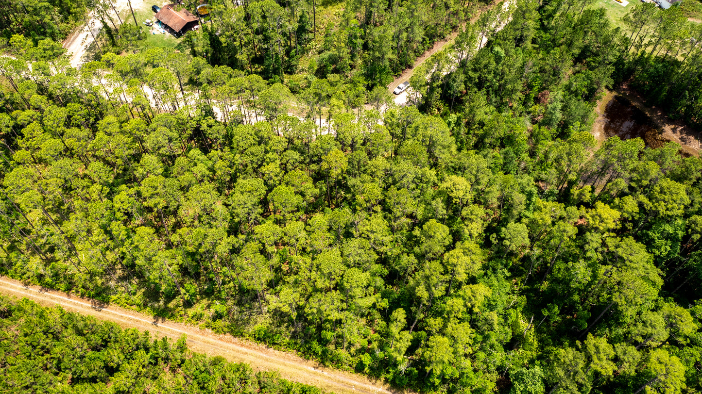0.37 Acres Land For Sale In Putnam FL