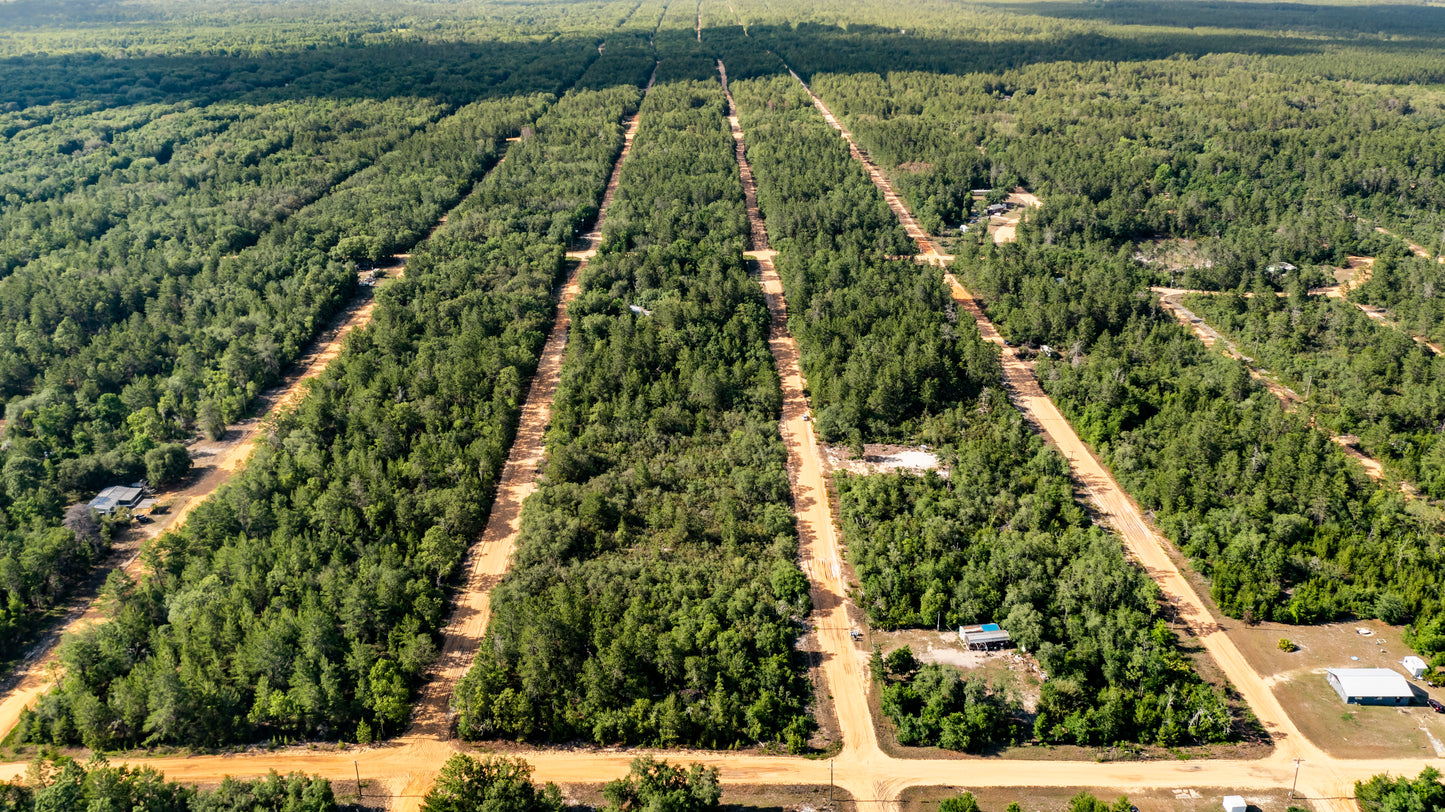 0.43 Acres Of Land for Sale in Putnam FL