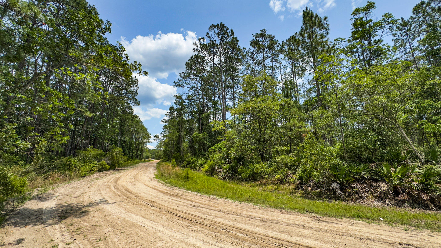 0.37 Acres Land For Sale In Putnam FL