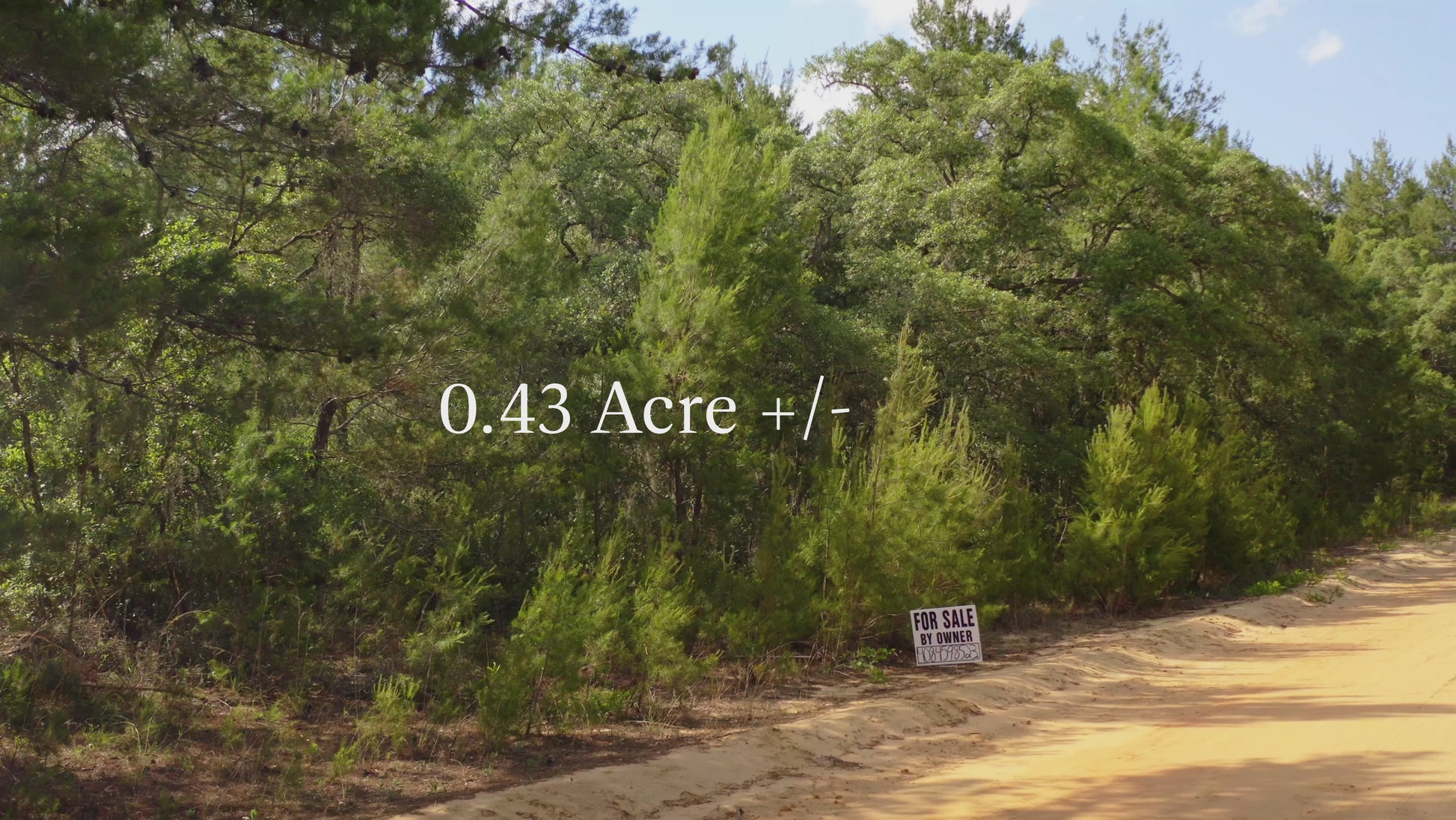 Property video